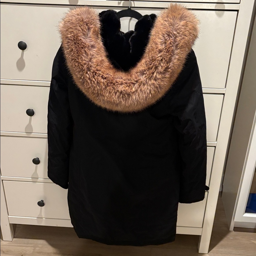Aritzia Summit Parka